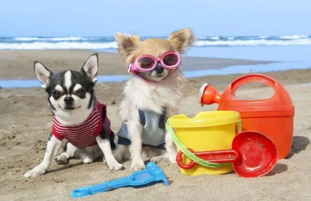מאלגה Enjoy Apart Centro Y Playa Victoria ספרד